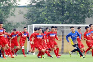 Vòng loại kỳ này Việt Nam thuộc nhóm hạt giống 2 ở Đông Á. Ảnh: Minh Hoàng