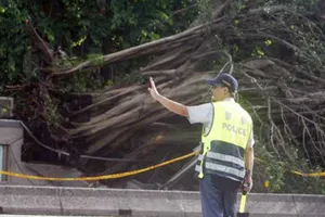 Trung Quốc: Hơn 3.000 người sơ tán vì bão Nesat