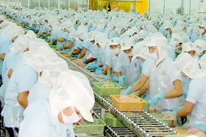 Chế biến xuất khẩu tại một doanh nghiệp thủy sản