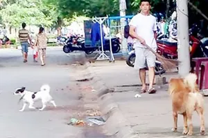 Văn minh trong thực thi pháp luật