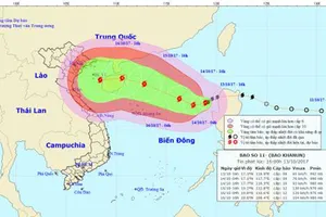 Sơ đồ dự báo hướng đi của bão số 11. Ảnh: Trung tâm Dự báo Khí tượng Thủy văn Trung ương