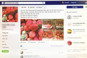 Fanpage bán dâu tươi của một bạn trẻ ở TPHCM  ​