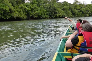 Du khách tham quan rừng ngập mặn ở Brunei  ​