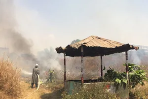 Một vụ cháy cỏ xảy ra tại phường Linh Trung, quận Thủ Đức