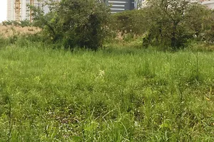 Chưa đền bù xong đã bán đất nền