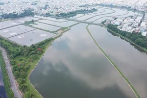 Xử lý nước thải tại Nhà máy xử lý nước thải Bình Hưng Hòa. Ảnh: CAO THĂNG