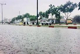 Hà Tĩnh xuất hiện cơn mưa “vàng”