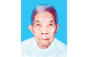 Mẹ Việt Nam anh hùng Lê Thị Út