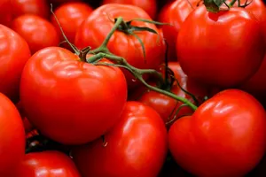 Vị Umami có mặt phổ biến ở các loại thực phẩm tự nhiên. Có thể dễ dàng cảm nhận vị umami đặc trưng khi ăn một quả cà chua tươi.  