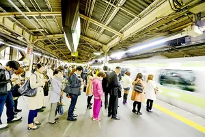 Bữa ăn miễn phí giúp giảm tắc nghẽn giao thông