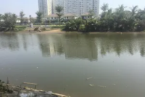 Khu vực nơi xảy ra vụ việc. 