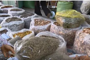 Dược liệu bán tràn lan, không nhãn mác trên thị trường