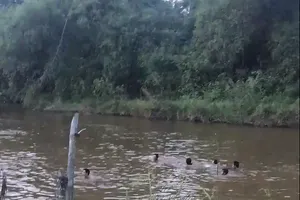 Quảng Bình: 8 học sinh đuối nước tử vong trong 1 tuần