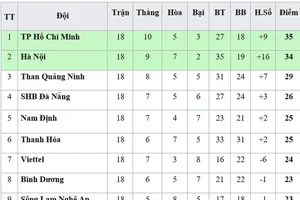 Bảng xếp hạng vòng 18-V.League 2019: SHB Đà Nẵng và Nam Định vào tốp 5