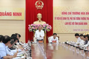 Phó Thủ tướng Trương Hòa Bình phát biểu tại buổi làm việc. Ảnh VGP