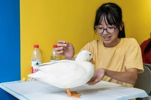 Cà phê vịt cảnh