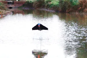 Robot cá bay phục vụ nghiên cứu môi trường