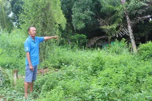 Cách hết các chức vụ đối với Nguyên Giám đốc chi nhánh Văn phòng đăng ký đất đai TP Bạc Liêu