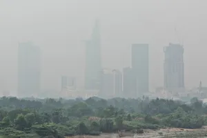 Experts share insights on air pollution reduction
