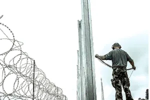 Dùng hàng rào điện phòng dịch tả heo châu Phi