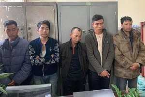 Các đối tượng trong ổ nhóm tội phạm vừa bị bắt giữ