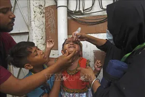 Cảnh báo nhiễm độc chì ở trẻ em trên thế giới