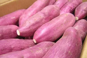 Từ chuyện củ khoai lang 