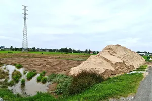 Khu đất lúa hơn 1,1ha bị Công ty Dương Vũ san lấp cát trái phép