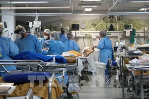 Nhân viên y tế chăm sóc bệnh nhân Covid-19 tại một bệnh viện ở Rio Grande do Sul, Brazil. Ảnh: AFP/TTXVN