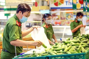 Đáp lời Tổ quốc