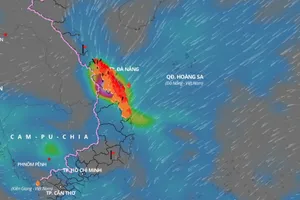 Từ sáng sớm ngày 23 đến ngày 25-10, khu vực từ Quảng Trị đến Phú Yên xảy ra mưa to đến rất to. Ảnh: VNDMS
