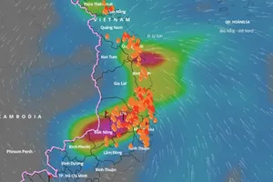 Cảnh báo lũ trên các sông ở Phú Yên, Khánh Hòa và khu vực Nam Tây Nguyên