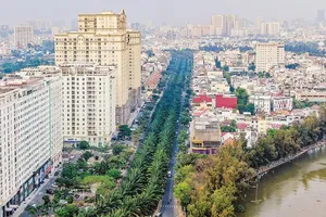 Phản hồi vệt bài “Phố chật chội trong chiếc “áo làng”: Giữ đất cho mảng xanh, nông nghiệp đô thị