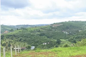 Sang đất Bảo Lộc - Lâm Đồng