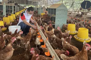 Vốn và thị trường: Trợ lực nền tảng cho doanh nghiệp