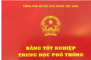 Thu bằng tốt nghiệp THPT của 2 lãnh đạo ở Sóc Sơn (Hà Nội) 