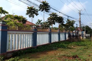 Dây diện nhà người dân ở xã Minh Hưng, huyện Bù Đăng bị cắt trộm