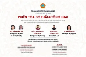 TAND quận 1 xét xử sơ thẩm vụ án tranh chấp bồi thường thiệt hại ngoài hợp đồng giữa bà N.T.T.H. và Công ty luật TNHH B.