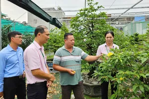 TPHCM nỗ lực hiện thực hóa tầm nhìn phát triển từ các nghị quyết đặc thù