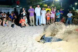 Kỳ tích “làng san hô”