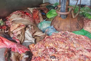 Xe tải chở 1,1 tấn da, lòng và mỡ động vật không rõ nguồn gốc