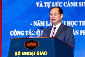 Phó Thủ tướng, Bộ trưởng Bộ Ngoại giao Bùi Thanh Sơn phát biểu tại hội thảo sáng 28-7. Ảnh: VIẾT CHUNG