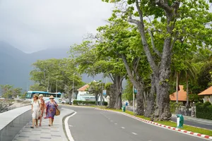 Khách quốc tế dạo chơi, ngắm biển và những cây bàng di sản tại Côn Đảo