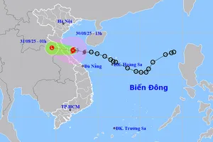 Tập trung ứng phó bão số 6