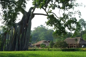 Về Tân Trào trong mùa cờ bay