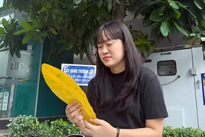 Cây bàng vuông xa nhà