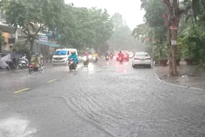 Mưa lớn nhiều nơi, đề phòng ngập úng và sạt lở