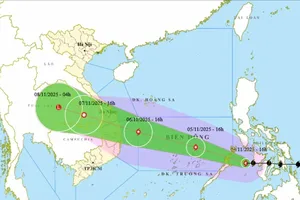 Bão Kalmaegi nguy hiểm tương tự bão Damrey và Molave