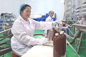 Tỷ phú ong mật ở vùng ven TPHCM