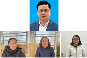 Vụ án Công ty Cổ phần đồ hộp Hạ Long: Cán bộ Chi cục Thủy sản ra đầu thú